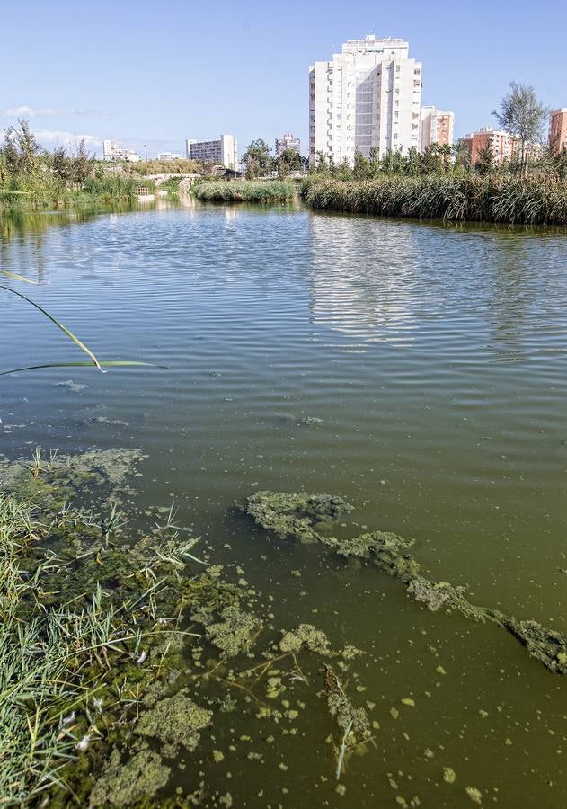 El parque de La Marjal evita nuevas inundaciones en la Playa de San Juan