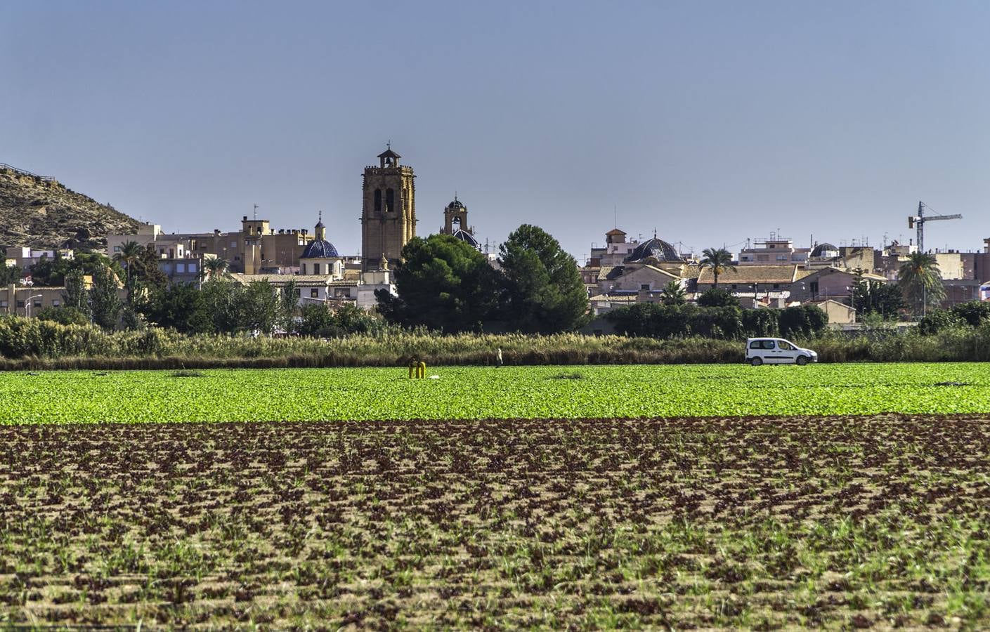 El casco urbano de Orihuela visto desde la zona de Arneva