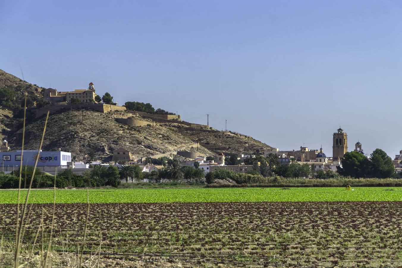 El casco urbano de Orihuela visto desde la zona de Arneva