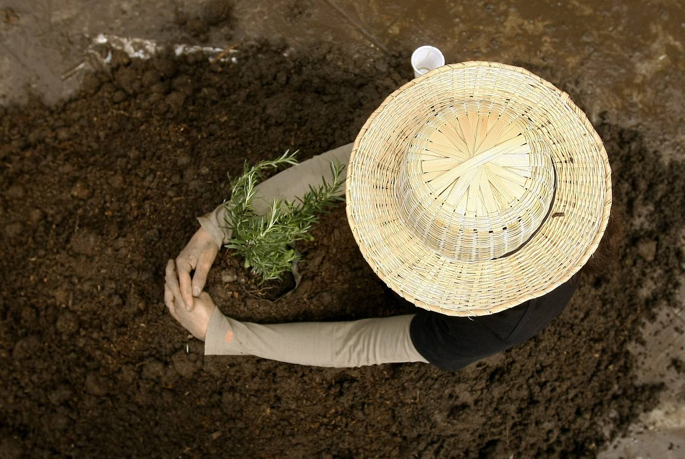 13 años bajo tierra