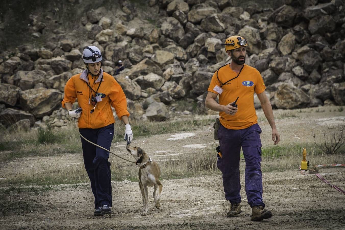 Simulacro en la cantera de Cox