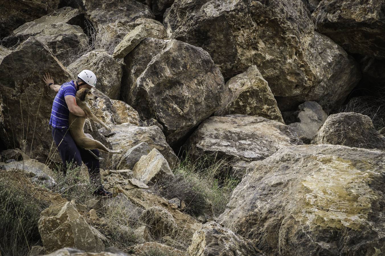 Simulacro en la cantera de Cox