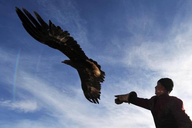 Cazador de altos vuelos