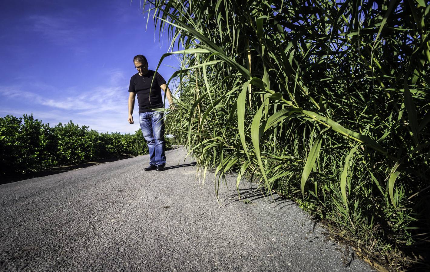 El PP denuncia el mal estado de la pista de patinaje de la Plaza Béjar