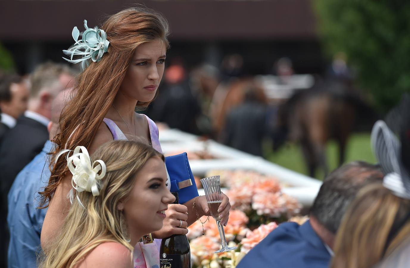 Sombreros frente a caballos