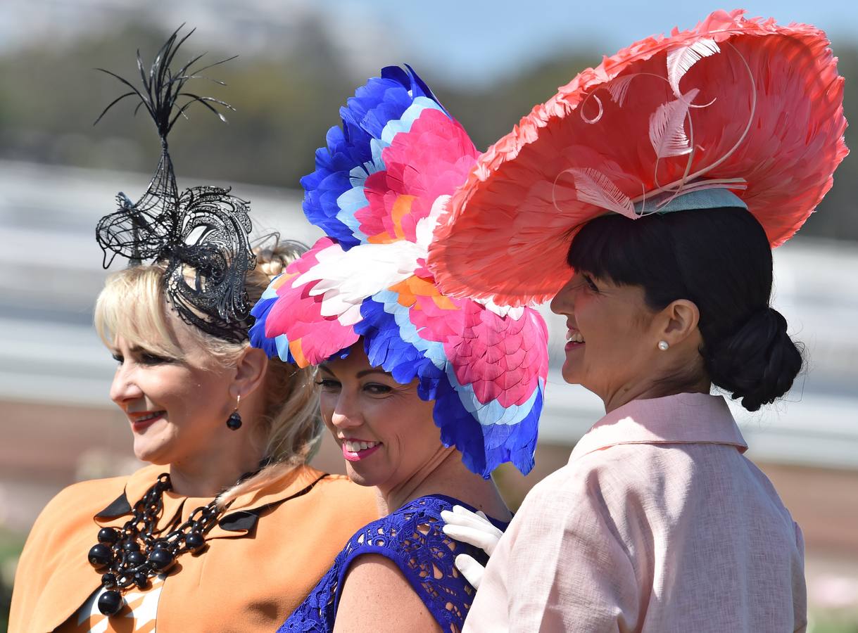 Sombreros frente a caballos
