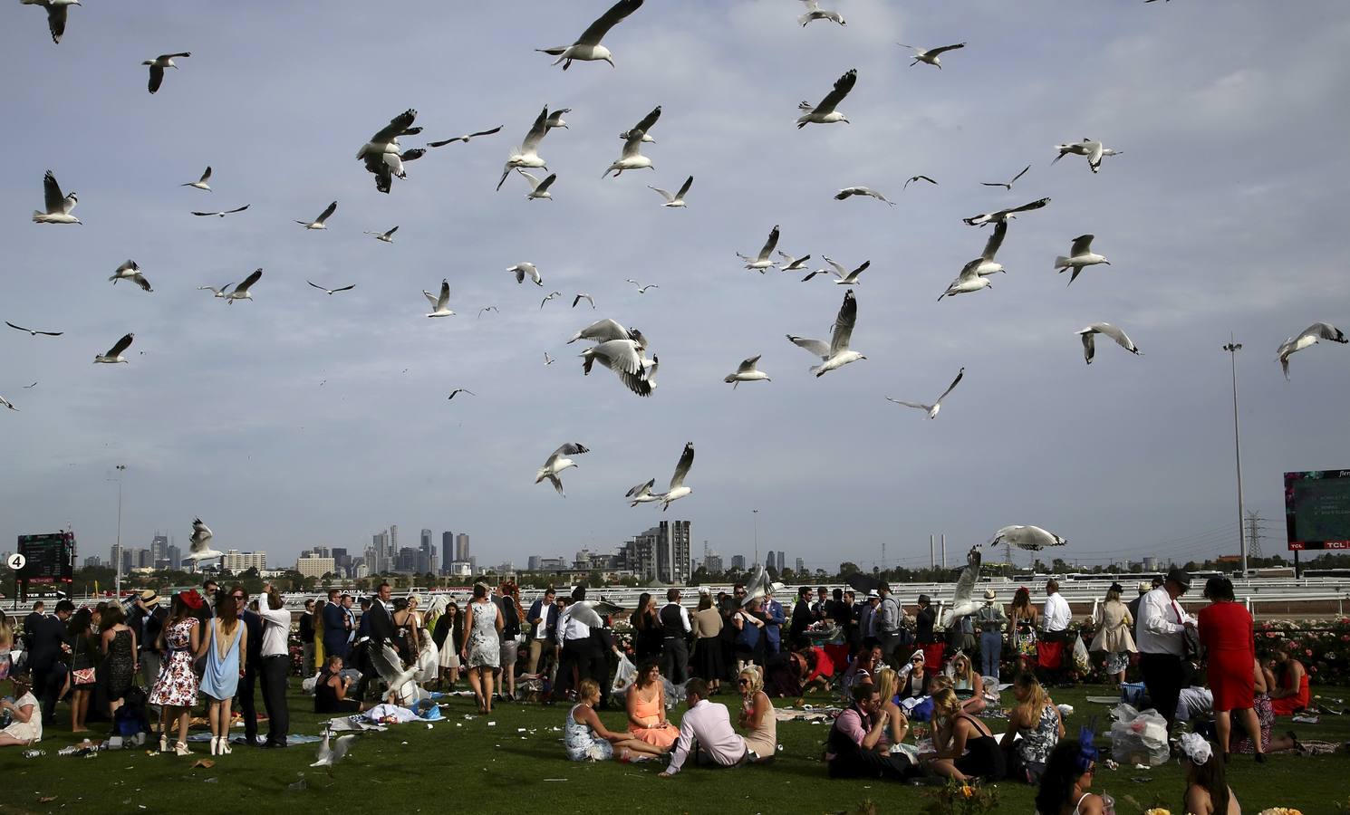 Sombreros frente a caballos