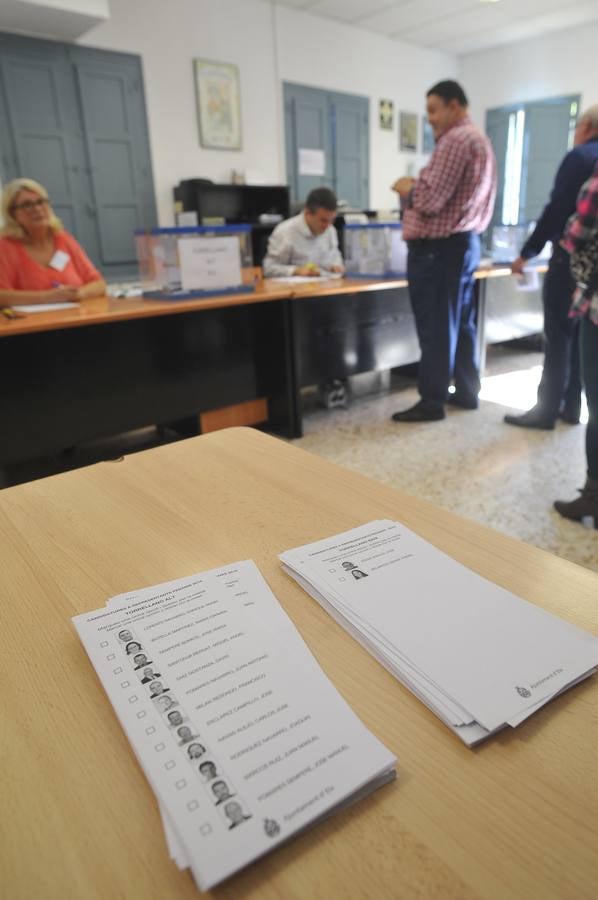 Elecciones de alcaldes pedáneos en Elche