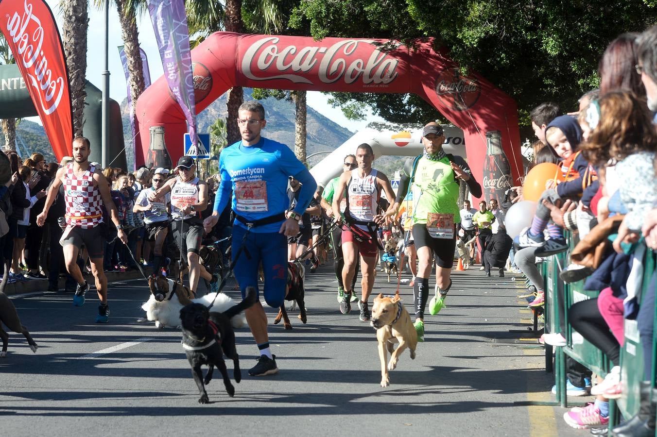 Disparados a la meta como un tiro