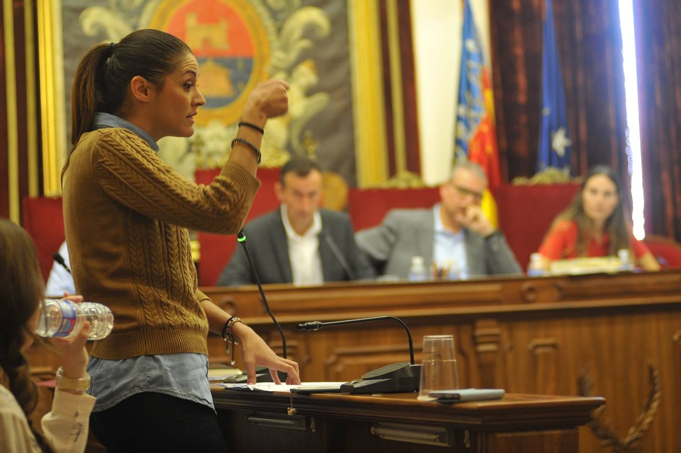 Pleno en el Ayuntamiento de Elche