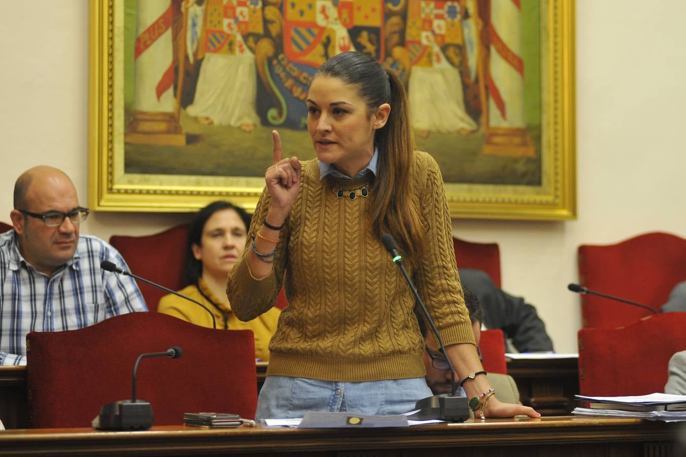 Pleno en el Ayuntamiento de Elche