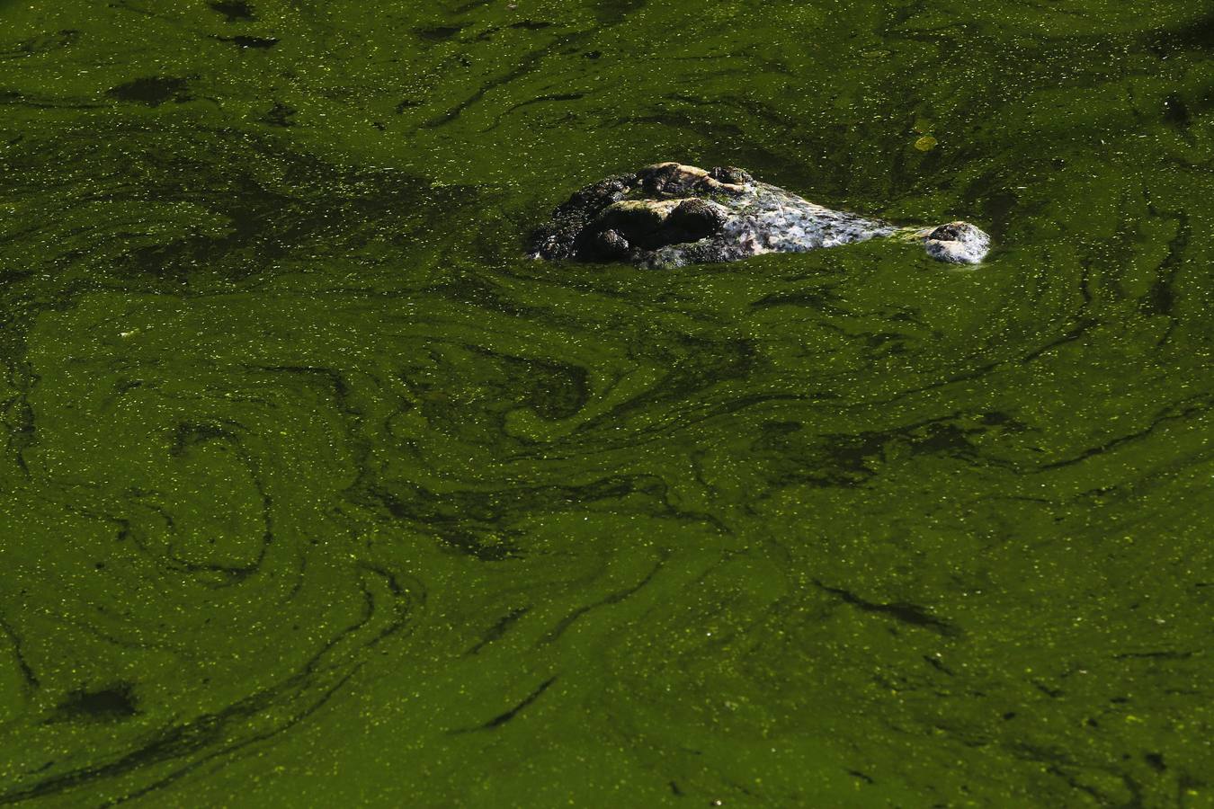 Trabajando entre dientes