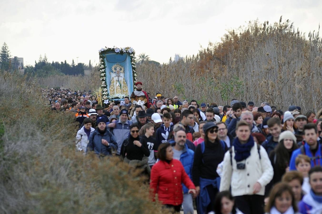 Romería de la venida de la Virgen