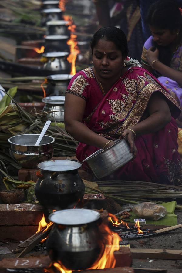 Bombay celebra el Festival del Pongal
