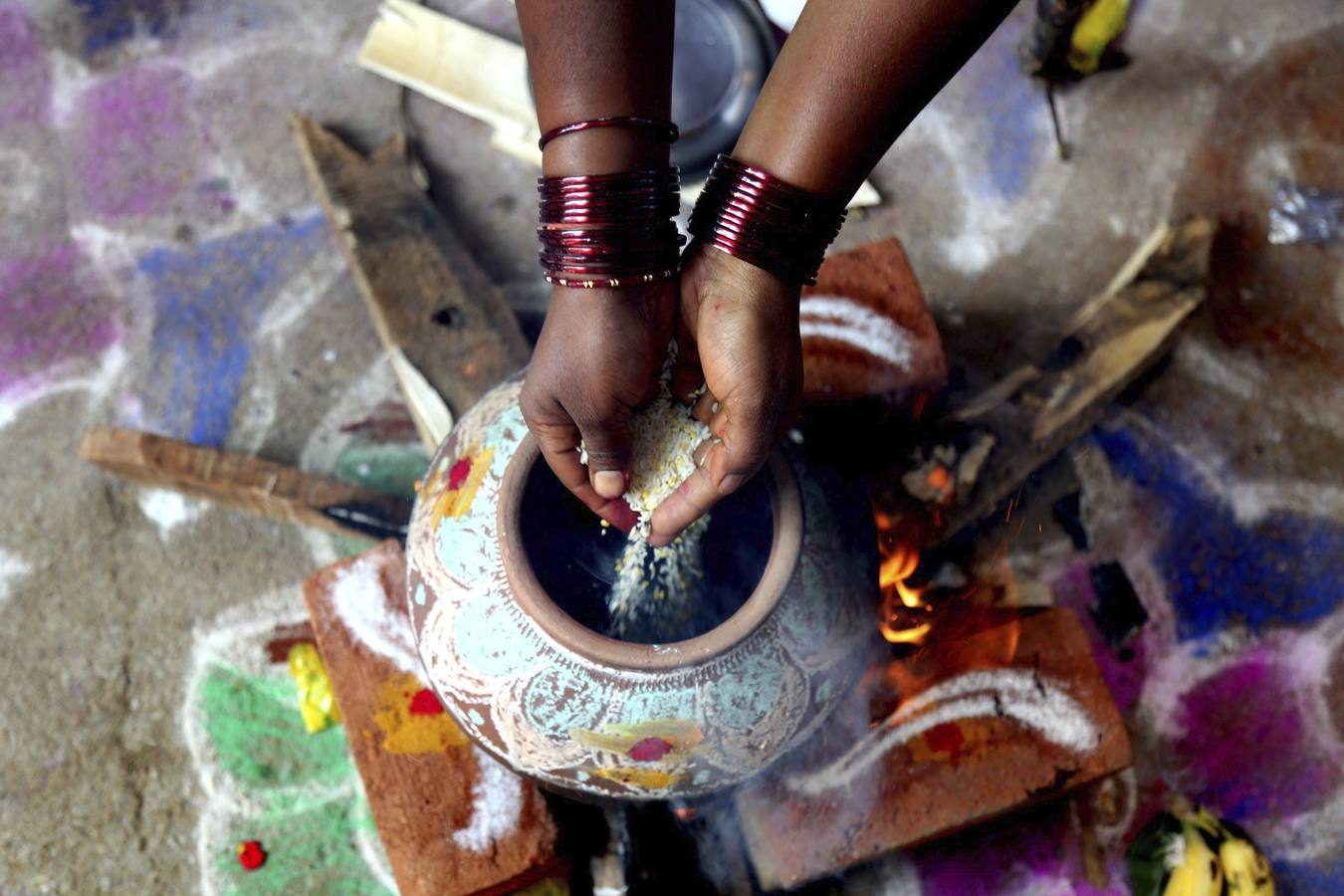 Bombay celebra el Festival del Pongal