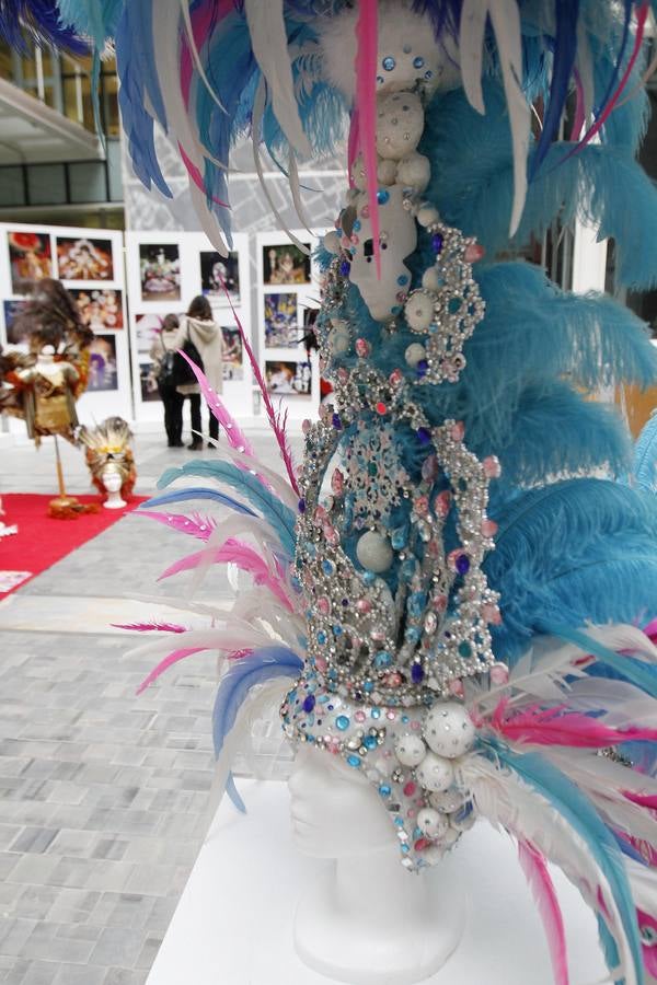 Plumas y lentejuelas de Carnaval