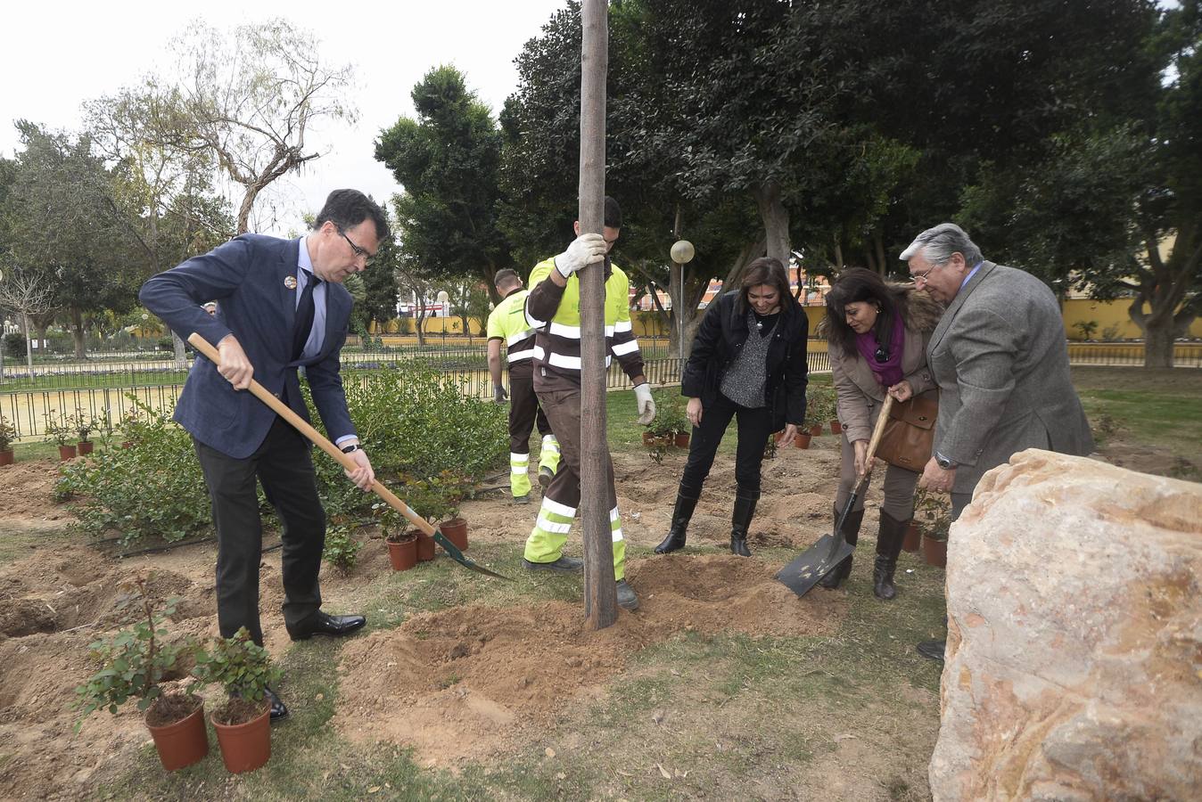Un &#039;árbol de la vida&#039; contra el cáncer