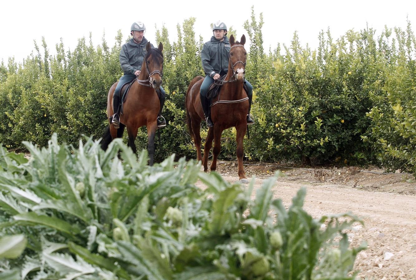 La Guardia Civil patrulla por el Campo de Cartagena por los continuos robos en la zona.