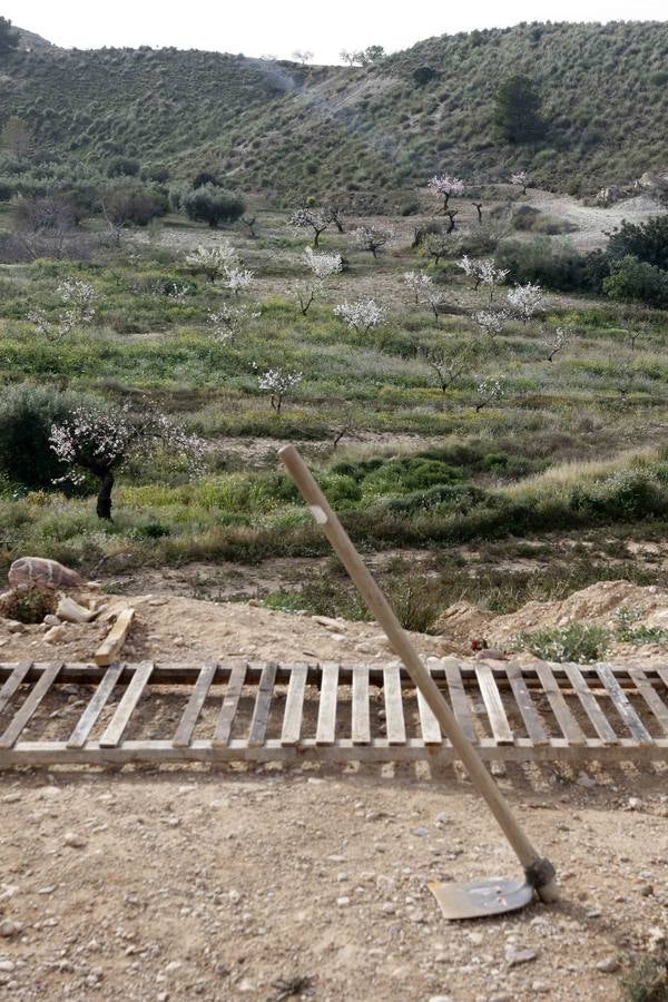 El turismo florece en el Campo de Murcia