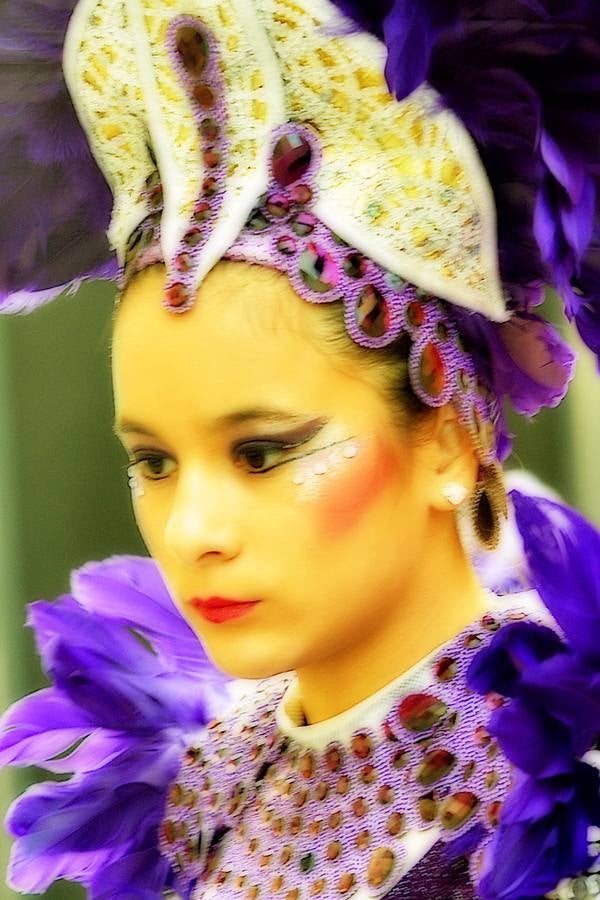 Belleza y plumas contra el viento