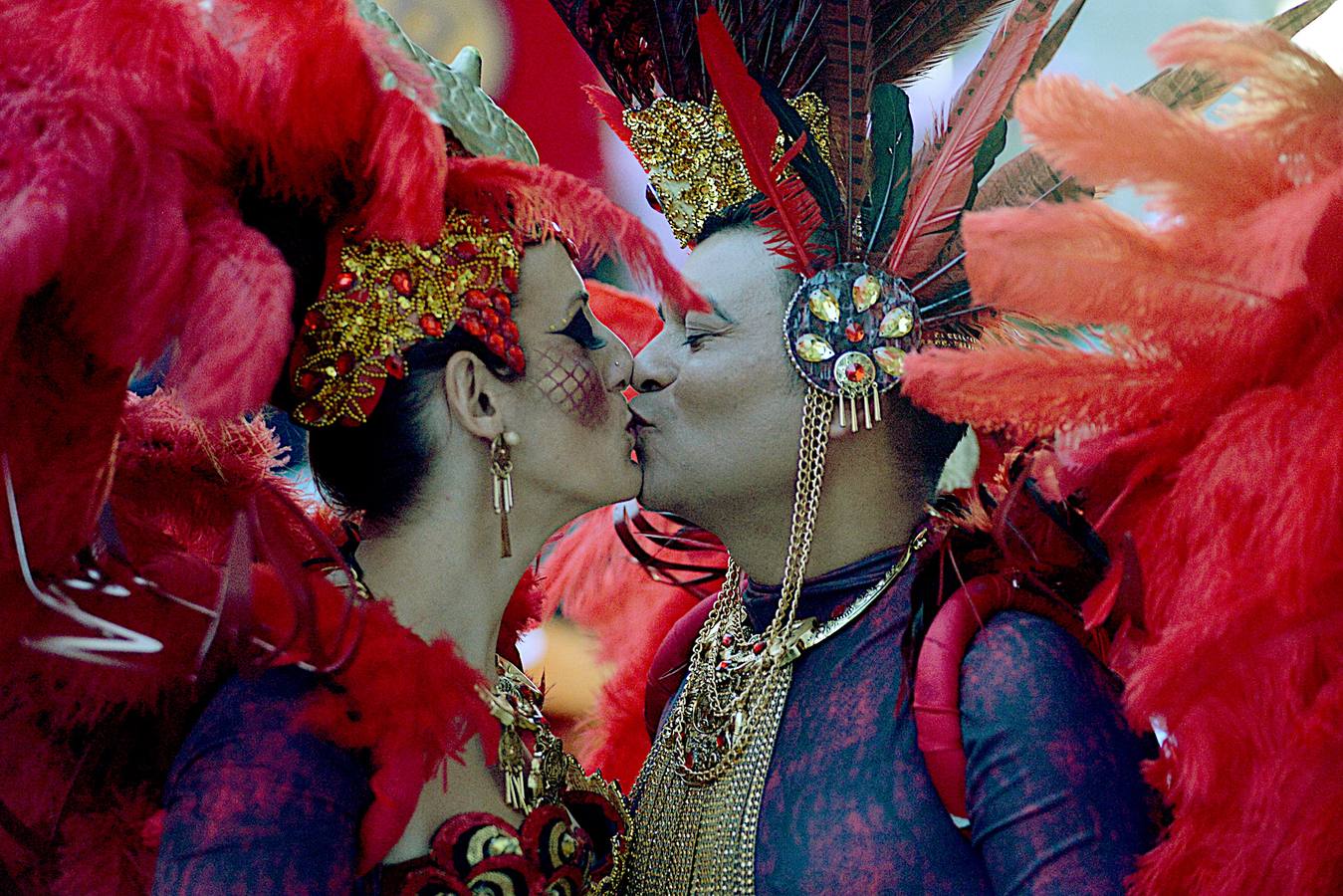 Belleza y plumas contra el viento