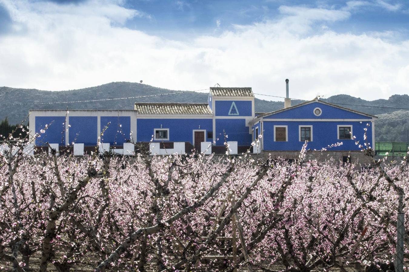 La anunciada ola de frío amenaza los frutales
