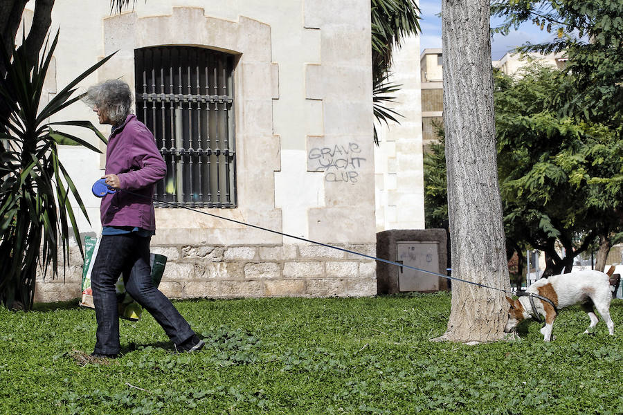 El temporal deja fuertes rachas de viento en Alicante