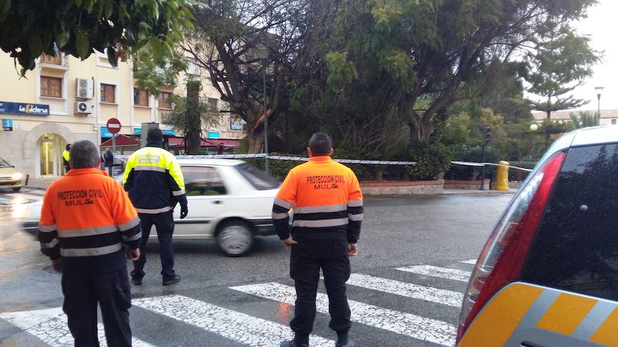 Agentes de la Policía Local de Mula vigilan ante el posible derrumbe de varios árboles.