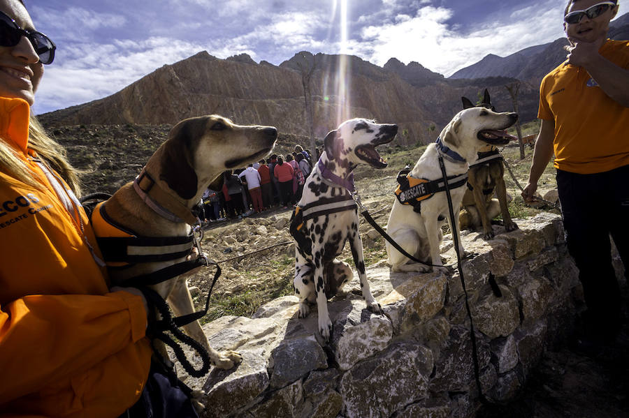 Plantación de árboles en la cantera de Orihuela