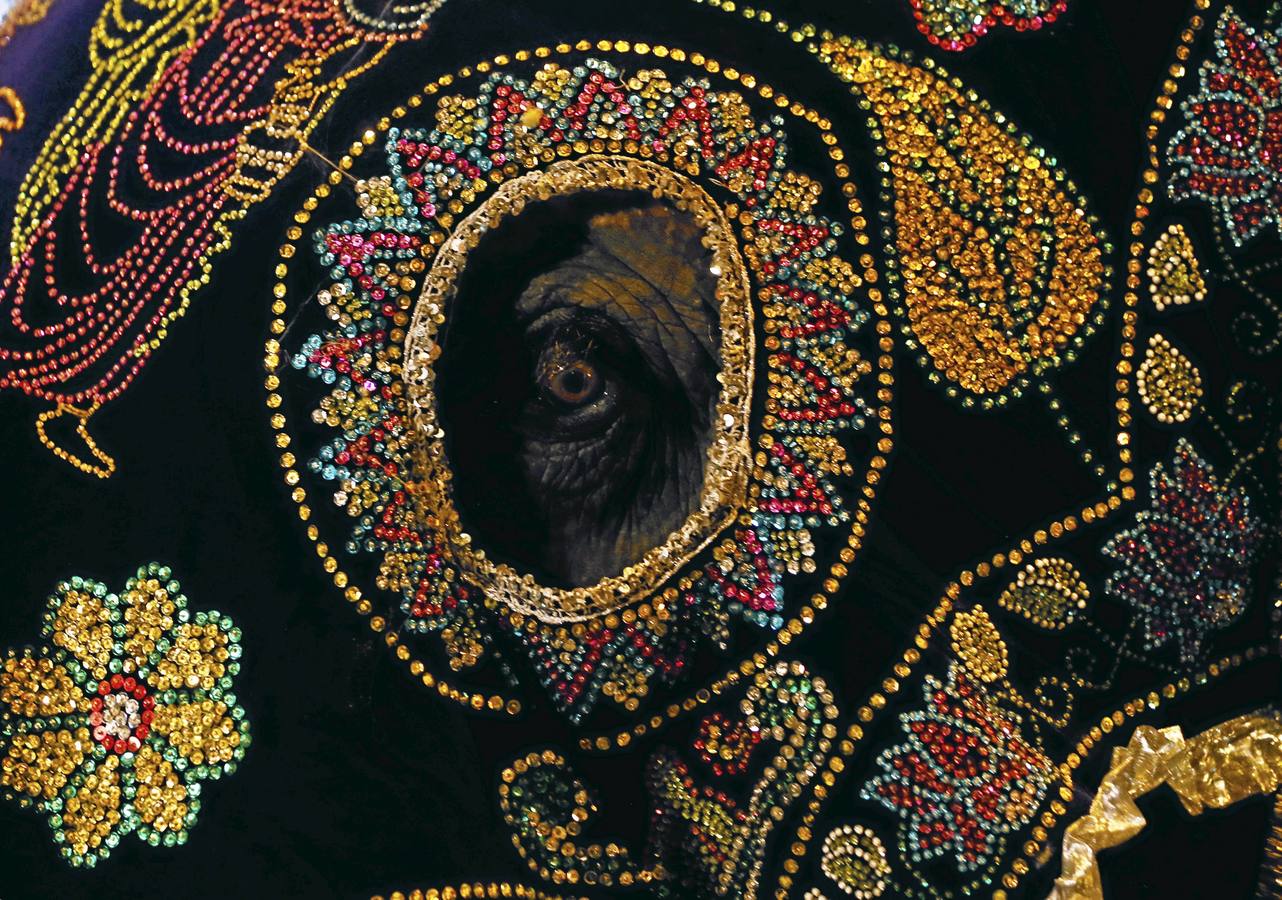 Bailando al son de Buda