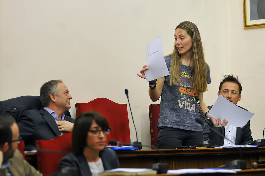 Pleno en el Ayuntamiento de Elche