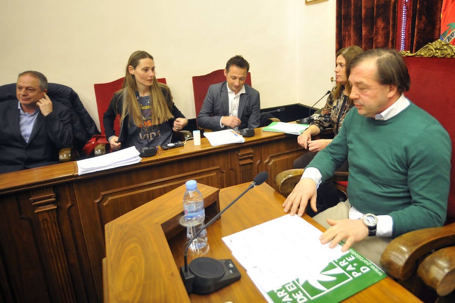 Pleno en el Ayuntamiento de Elche