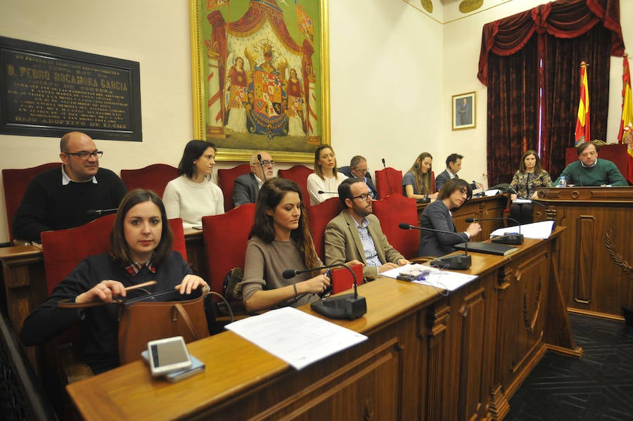 Pleno en el Ayuntamiento de Elche