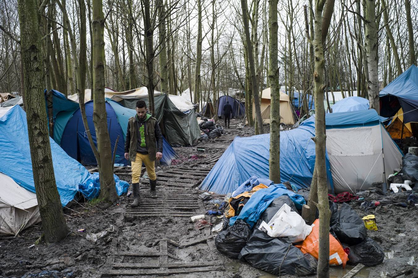 Arde &#039;La Jungla&#039;