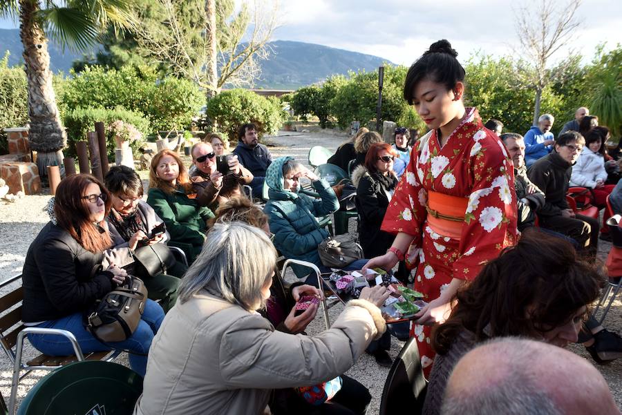 Las flores danzan en Los Palacios