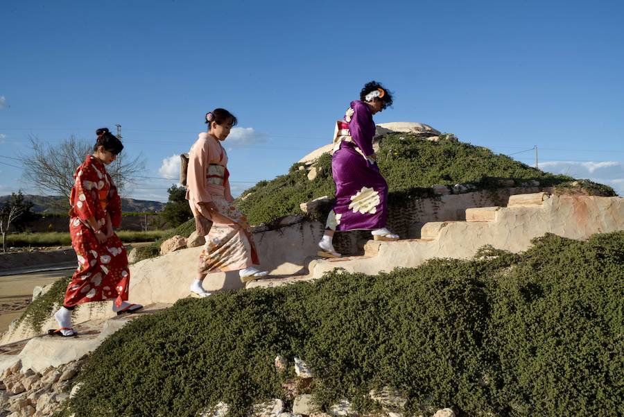 Las flores danzan en Los Palacios