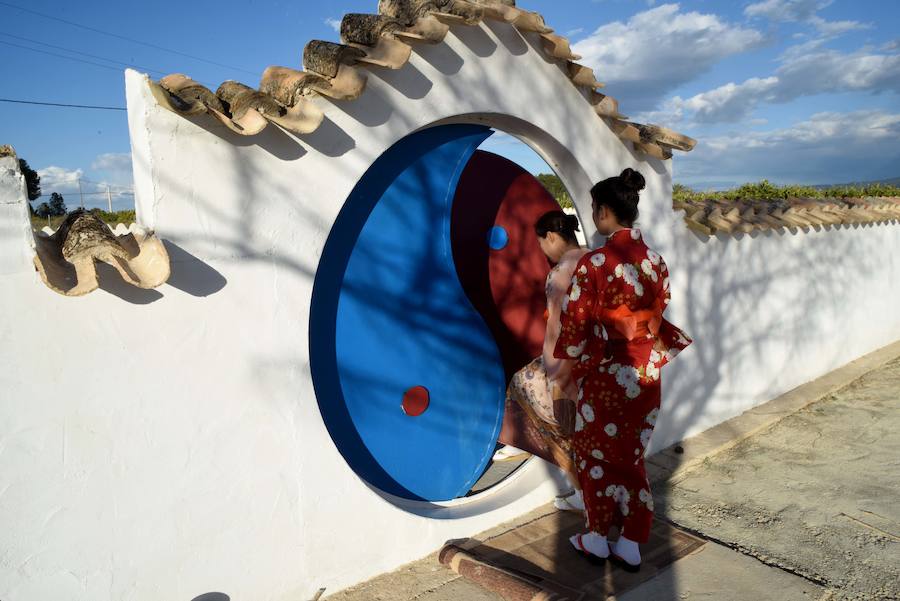 Las flores danzan en Los Palacios