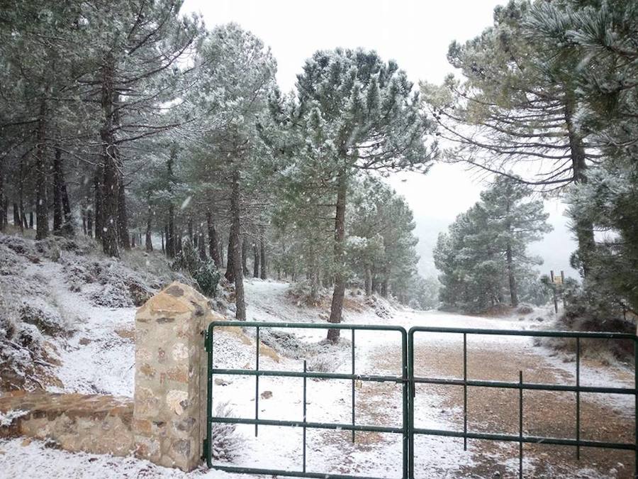 La nieve tiñe las zonas altas de la Región