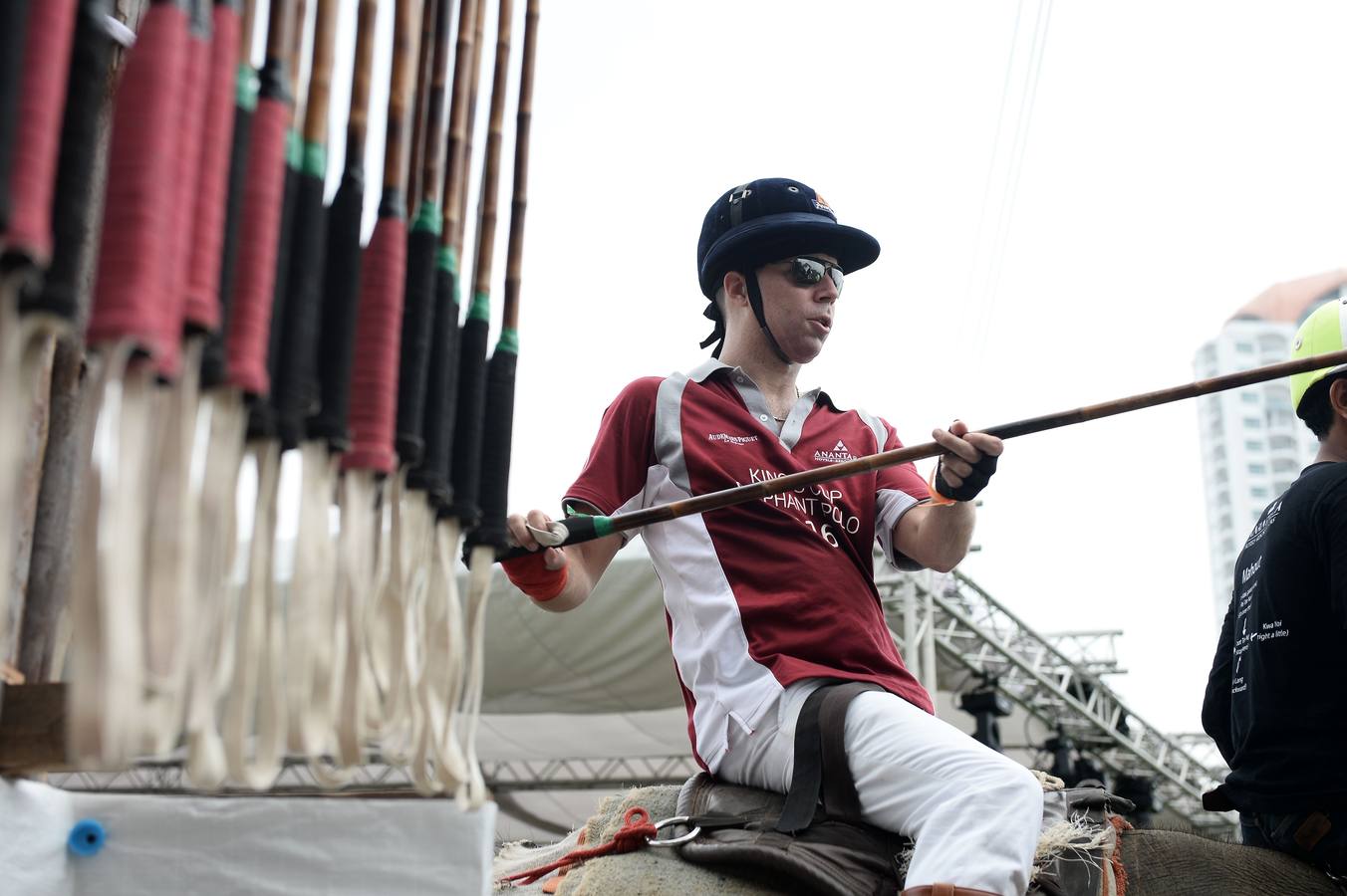 Polo con y para elefantes