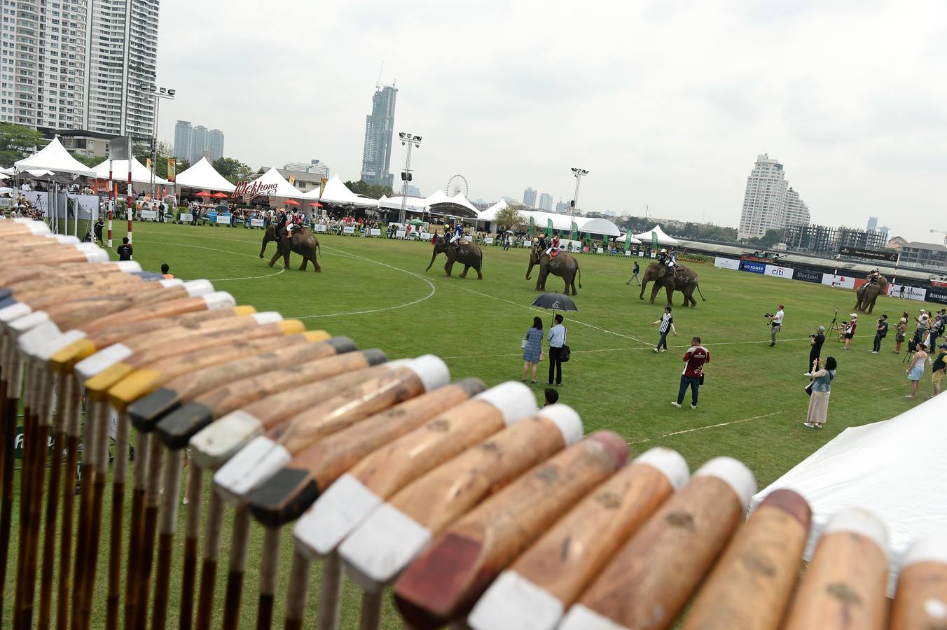 Polo con y para elefantes