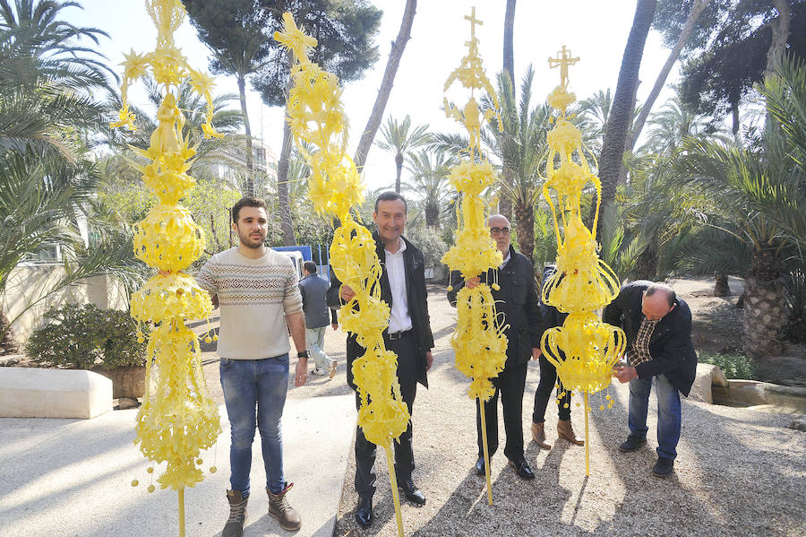 Elche presenta las palmas blancas