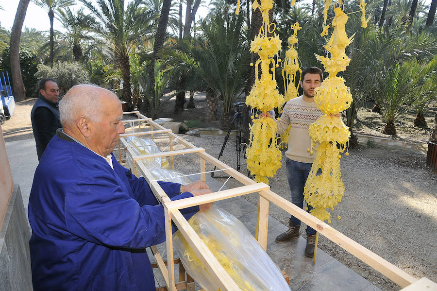 Elche presenta las palmas blancas