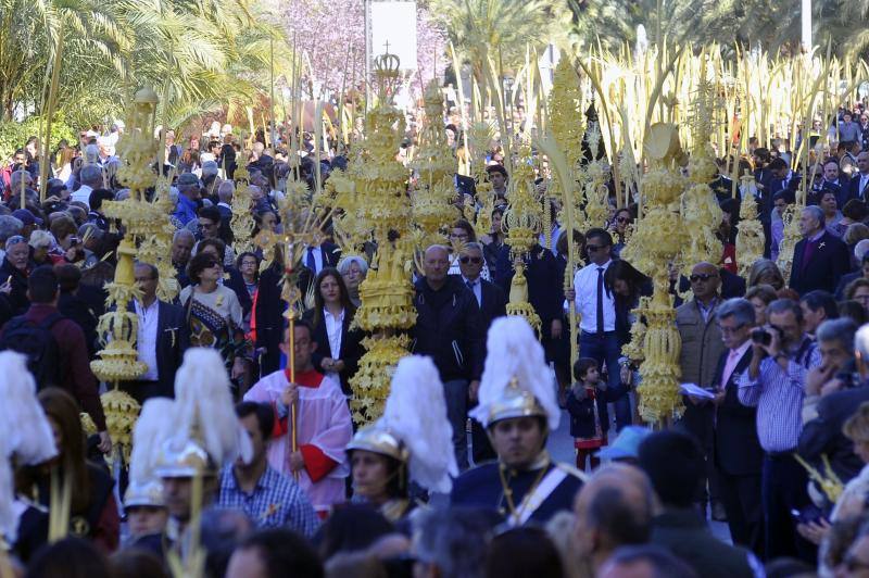 Domingo de Ramos en Elche