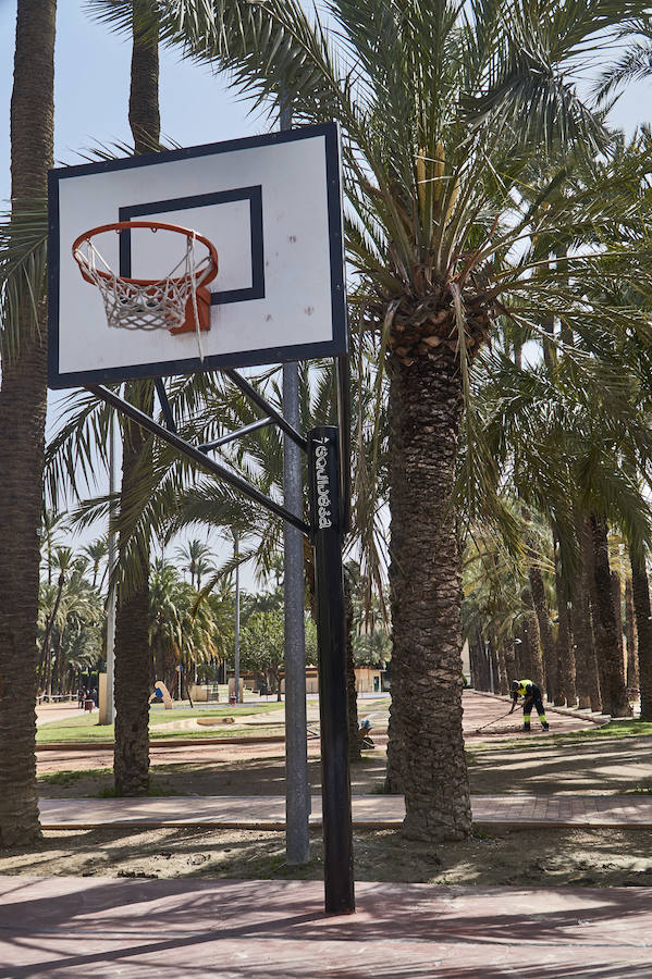 Mejora en las instalaciones del Palmeral en Orihuela