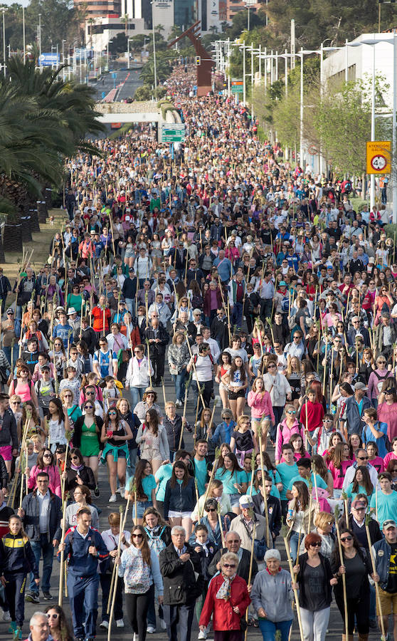 Miles de romeros participan en la Peregrina (II)