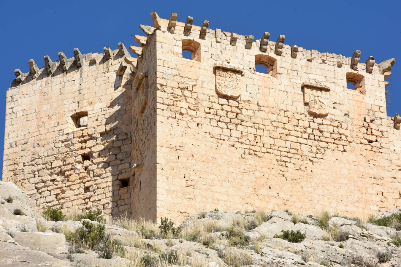 Cientos de personas abrazan el Castillo de Mula