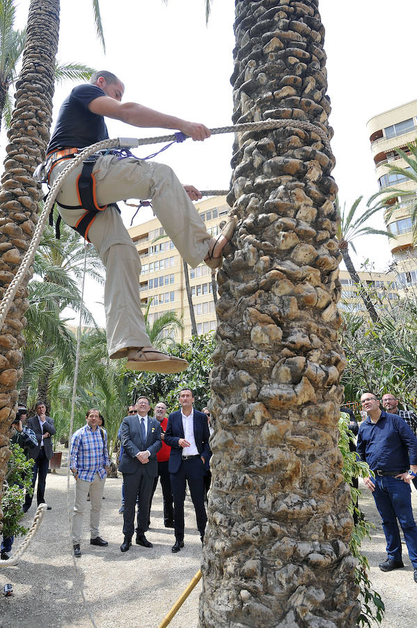 El Consell visita Elche