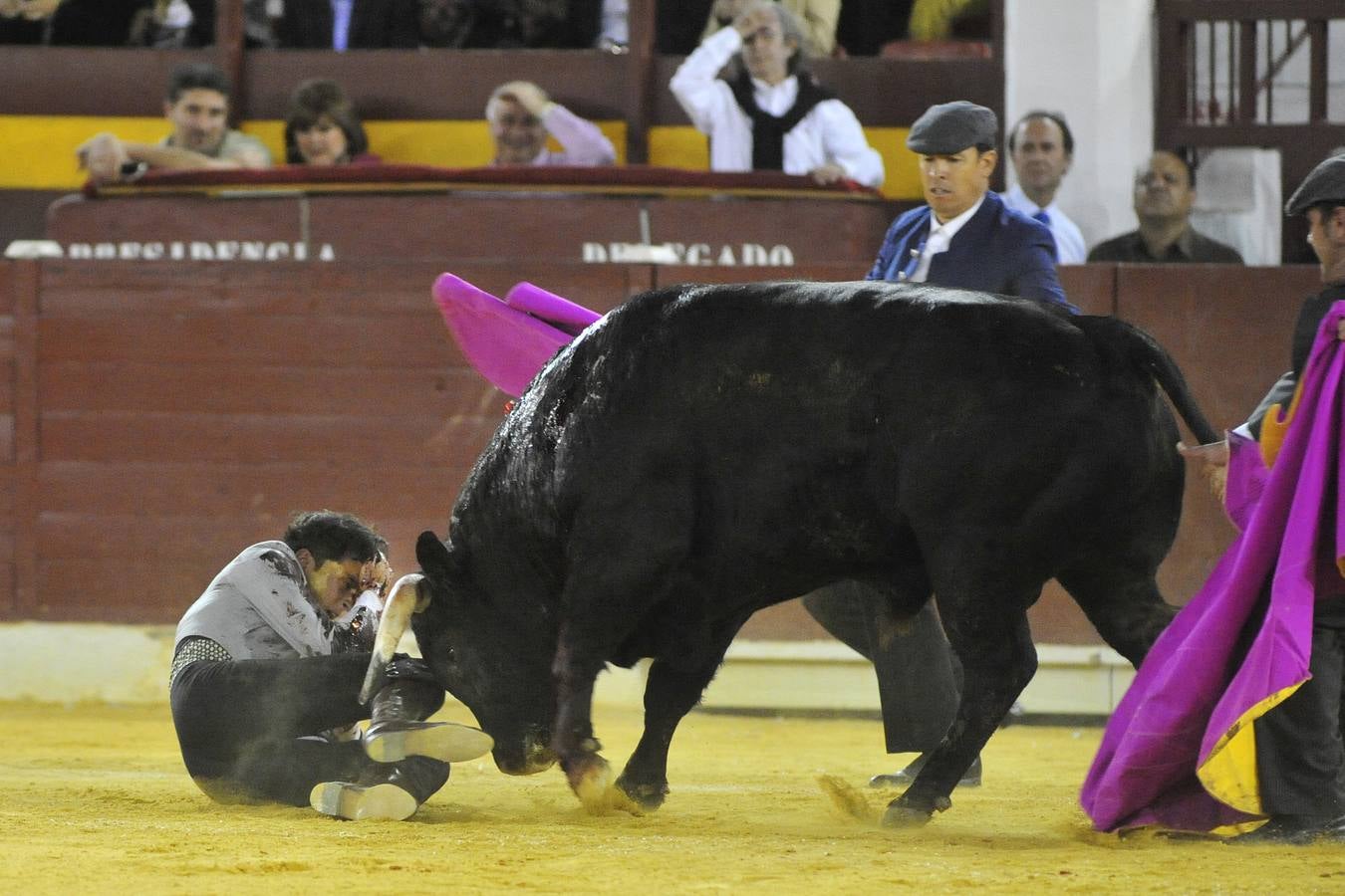 Festival de orejas y rabos contra el cáncer en Murcia