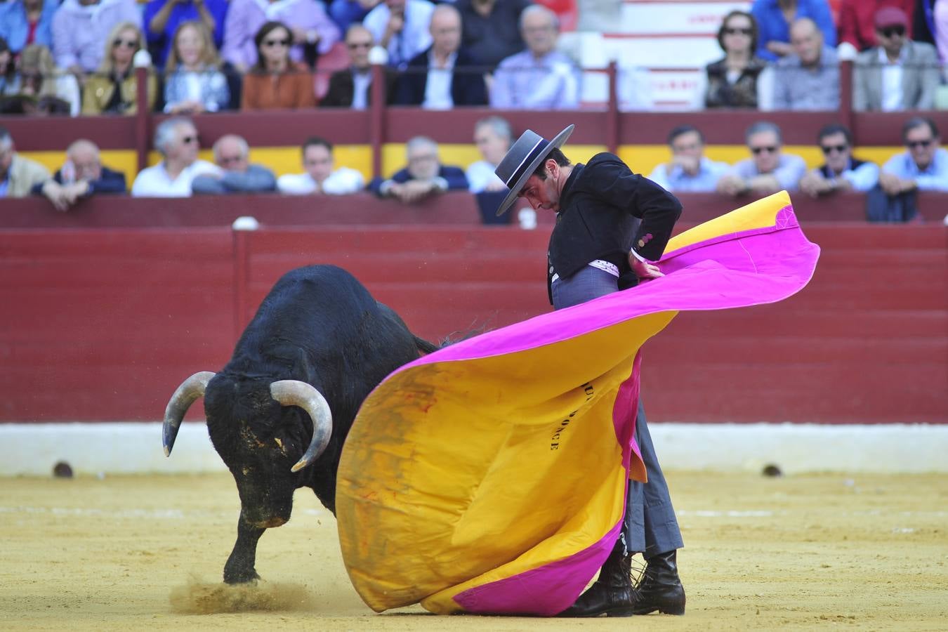 Festival de orejas y rabos contra el cáncer en Murcia