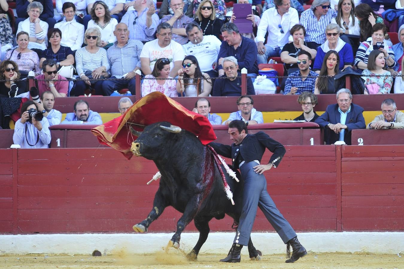 Festival de orejas y rabos contra el cáncer en Murcia